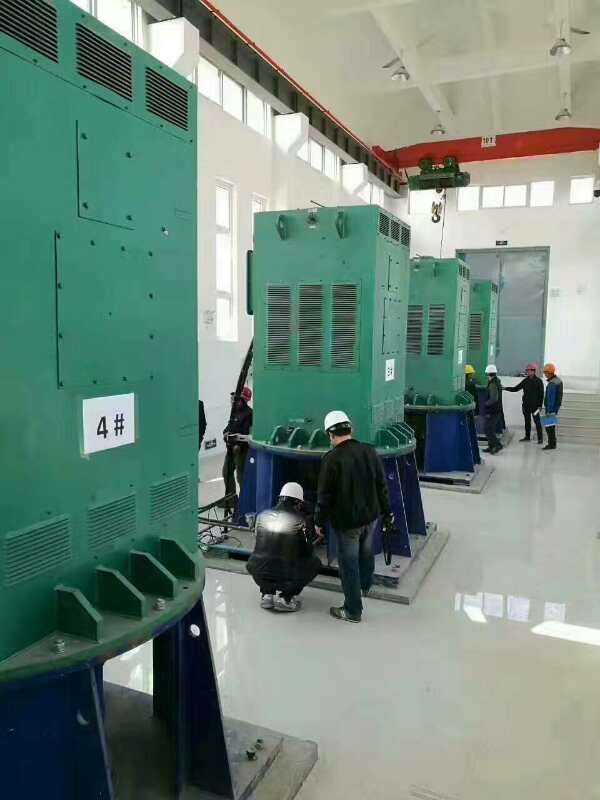 熊口镇某污水处理厂使用我厂的立式高压电机安装现场