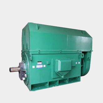 熊口镇Y7104-4、4500KW方箱式高压电机标准